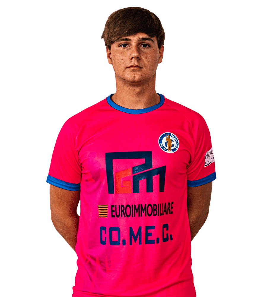 Luka Ilic