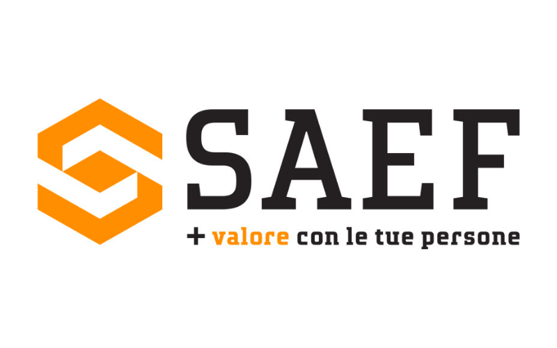 SAEF - main